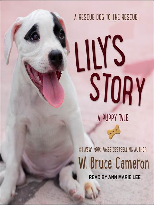 Lily's Story