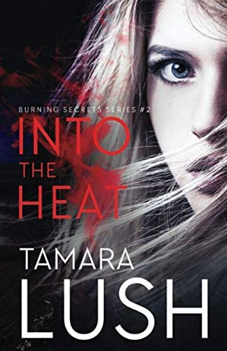 Into the Heat (Burning Secrets)