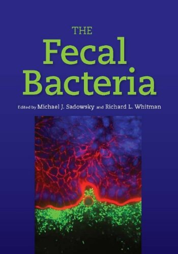 The Fecal Bacteria