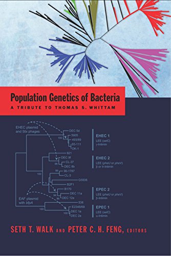 Population genetics of bacteria : a tribute to Thomas S. Whittam