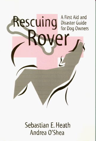 Rescuing Rover