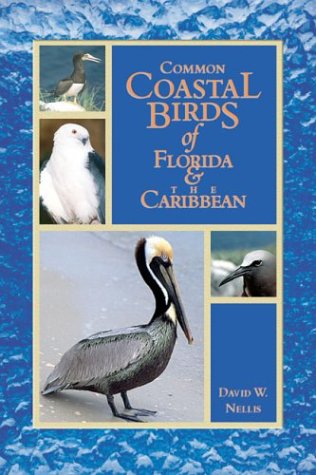 Common Coastal Birds of Florida &amp; the Caribbean