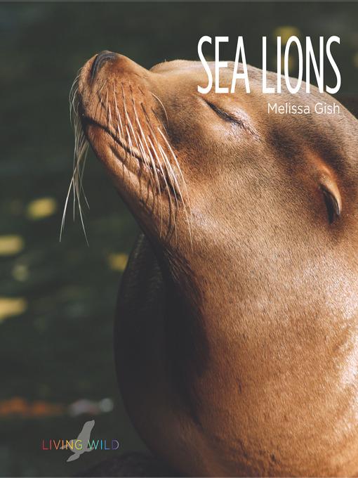 Sea Lions