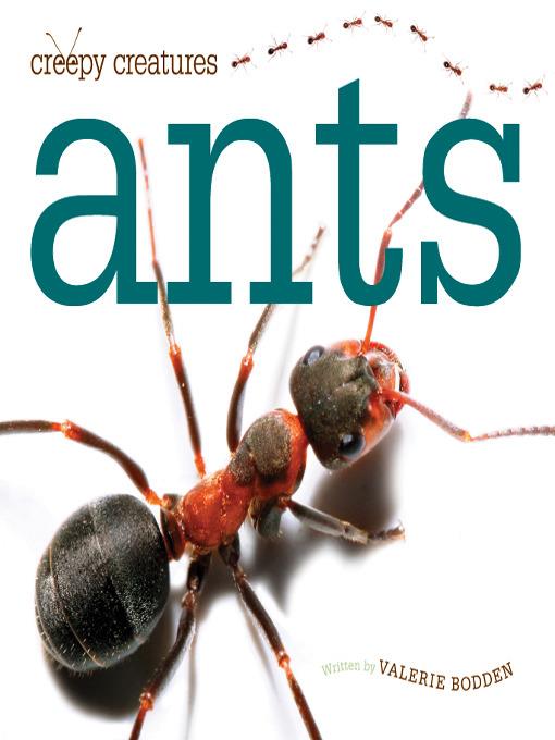 Ants