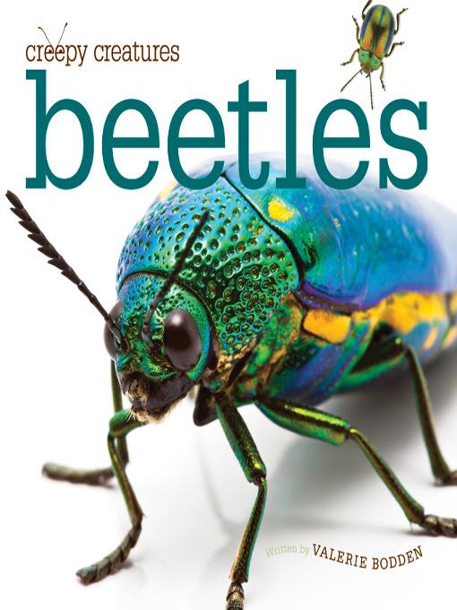 Beetles