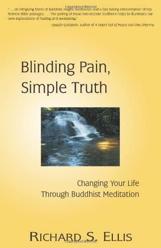 Blinding Pain, Simple Truth: Changing Your Life Through Buddhist Meditation