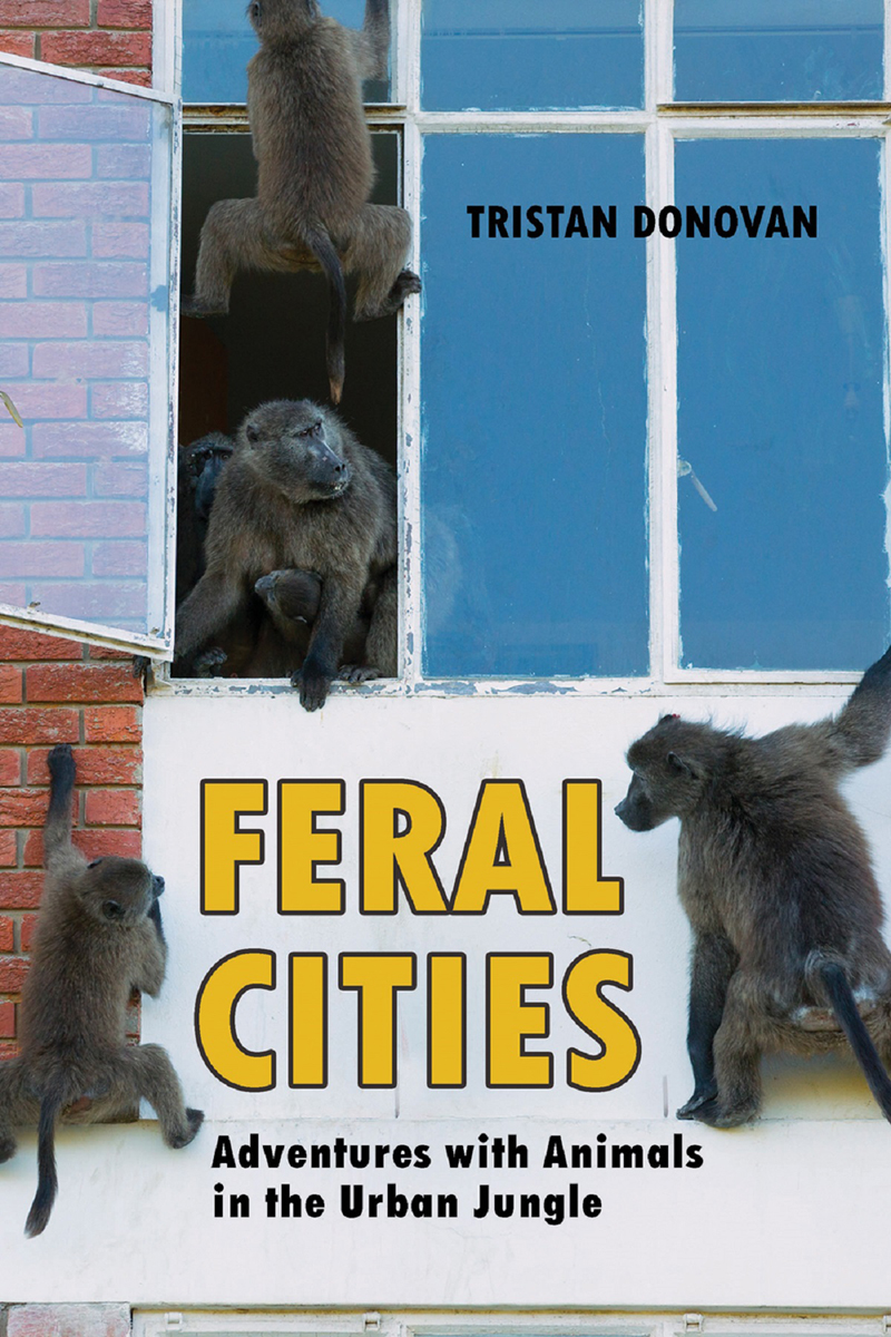 Feral Cities