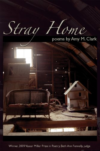 Stray Home