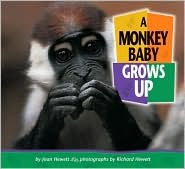 A Monkey Baby Grows Up
