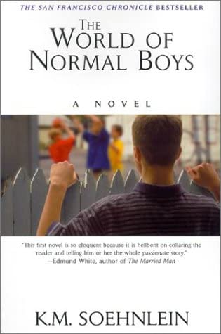 The World of Normal Boys