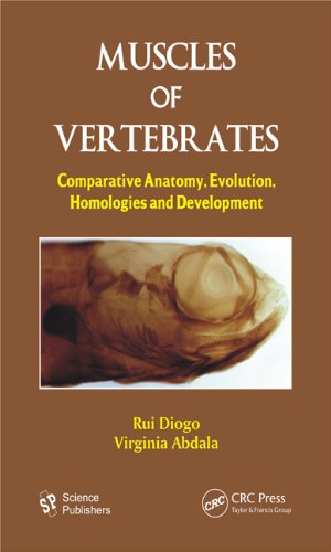 Muscles of Vertebrates: Comparative Anatomy, Evolution, Homologies and Development