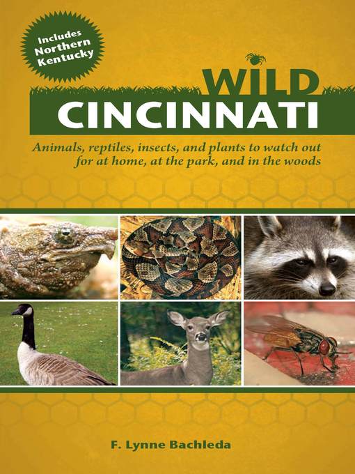 Wild Cincinnati