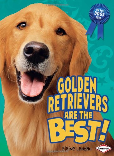 Golden Retrievers Are the Best!