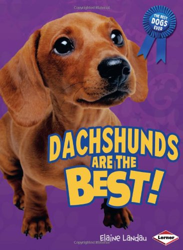 Dachshunds Are the Best!