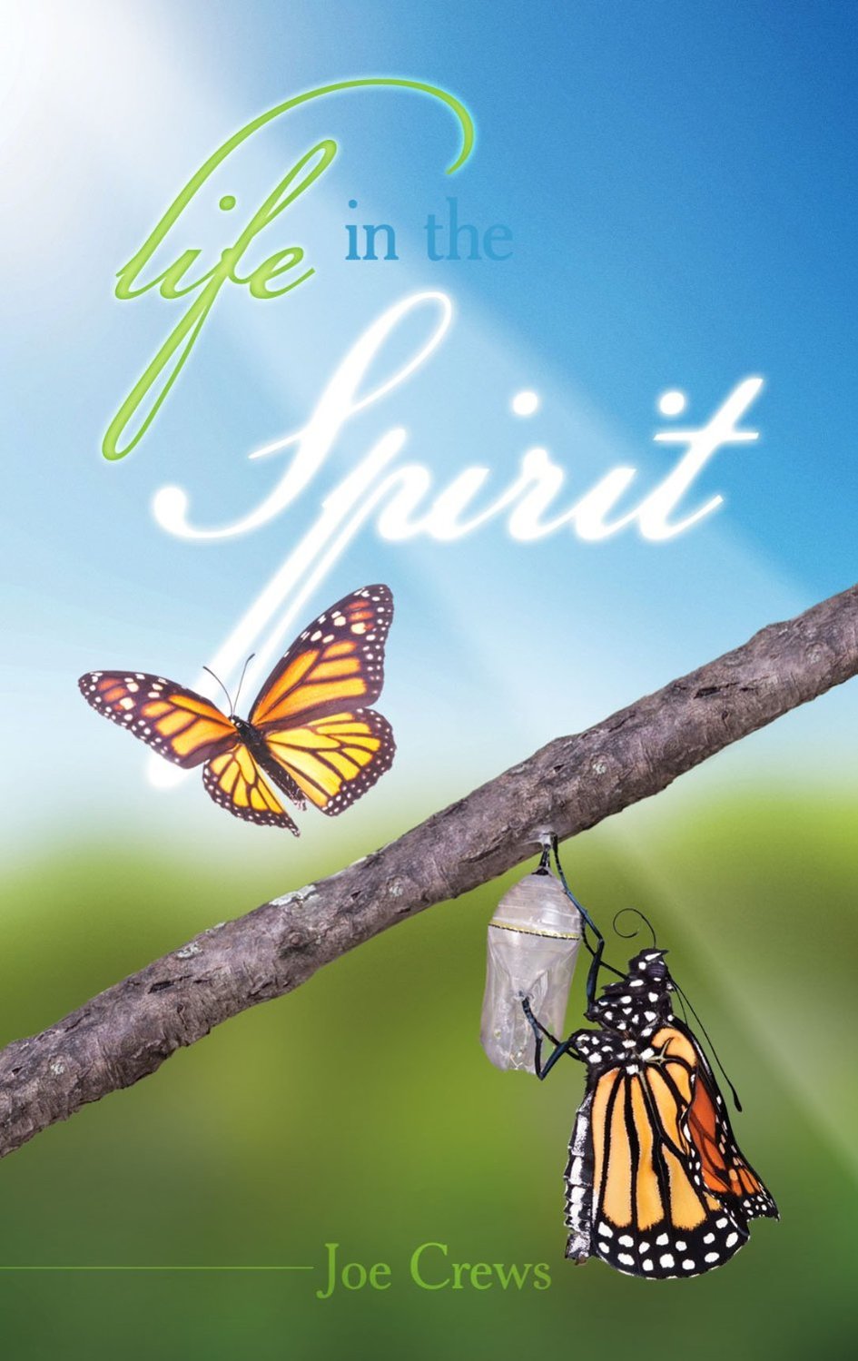 Life In The Spirit