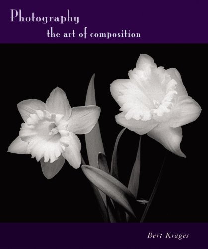 Photography : the art of composition