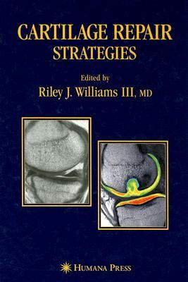 Cartilage Repair Strategies