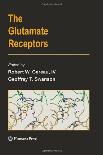 The Glutamate Receptors