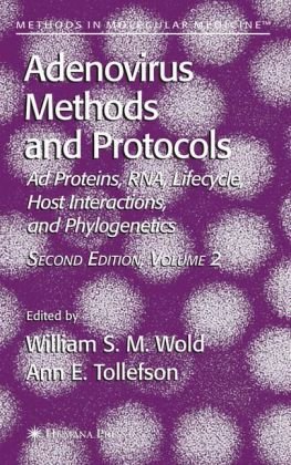 Adenovirus Methods and Protocols, Vol. 2: Ad Proteins and RNA, Lifecycle and Host Interactions, and Phyologenetics (Methods in Molecular Medicine, Vol. 131) (Methods in Molecular Medicine, 131)