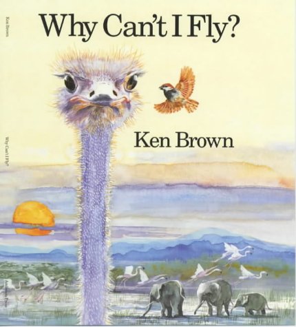 Why can't I fly?