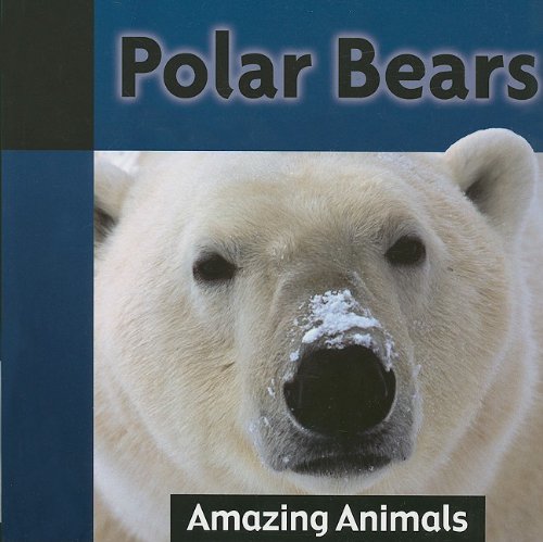 Polar Bears