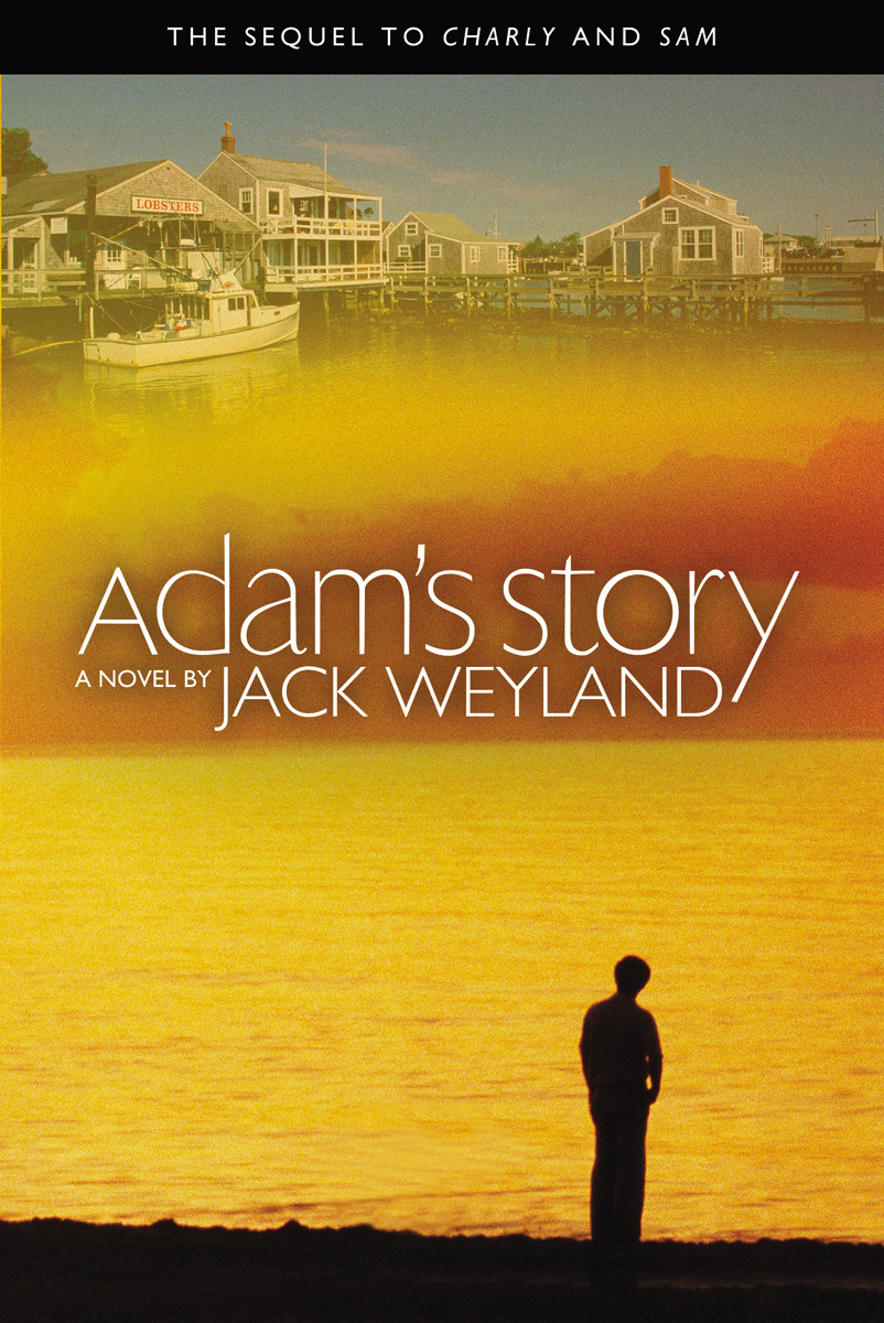 Adam's Story: A Novel