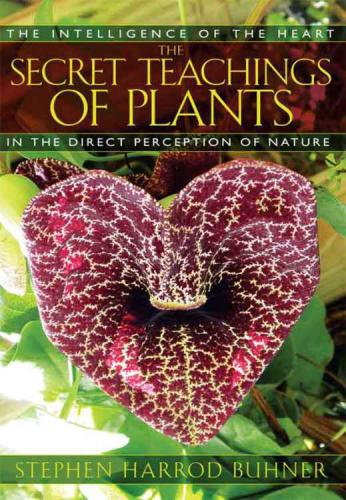 The Secret Teachings of Plants