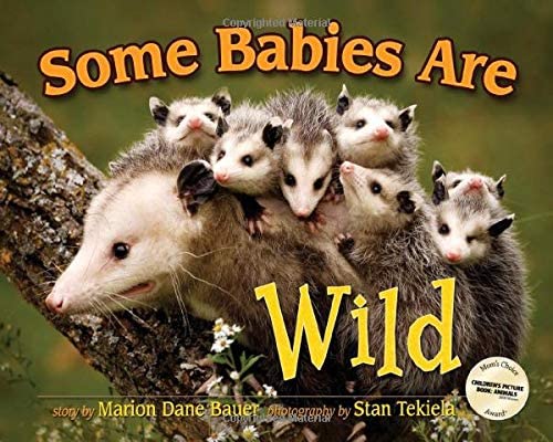 Some Babies Are Wild (Wildlife Picture Books)
