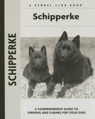 Schipperke