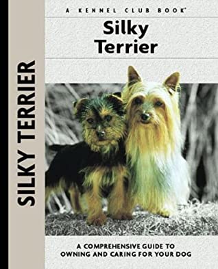 Silky Terrier