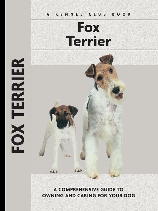 Fox Terrier