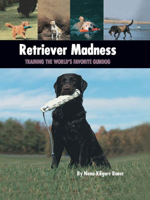 Retriever Madness