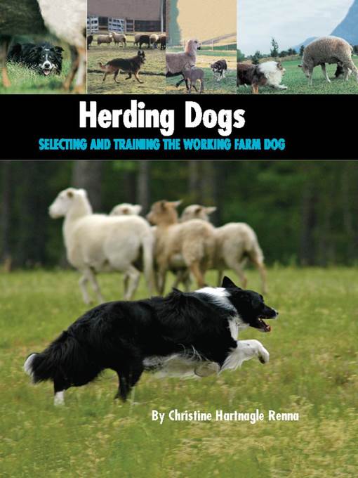 Herding Dogs