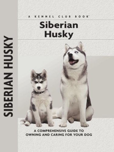 Siberian Husky