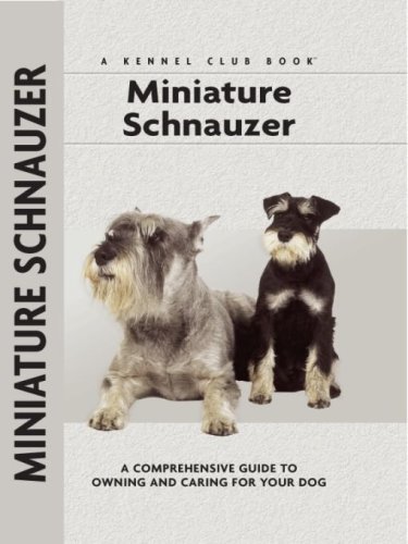 Miniature Schnauzer