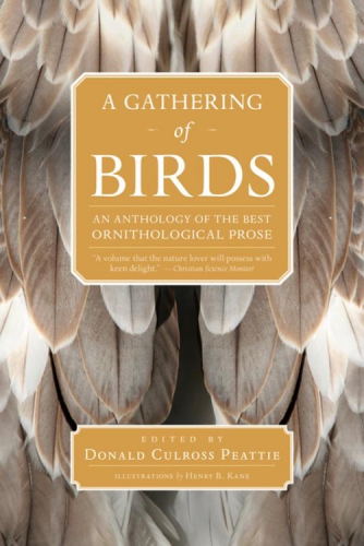 A Gathering of Birds