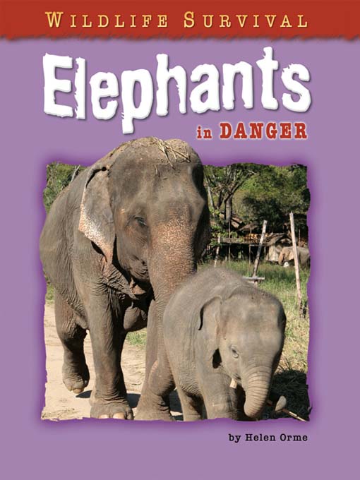 Elephants in Danger