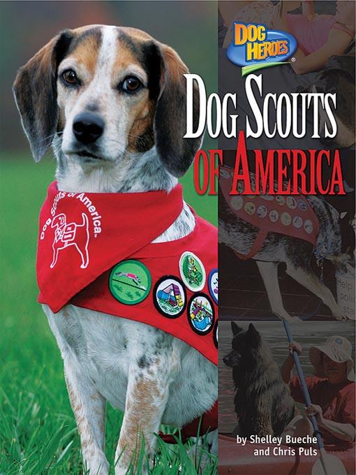 Dog Scouts of America