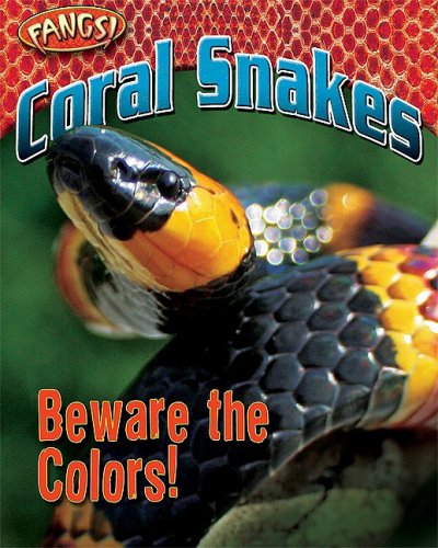 Coral Snakes