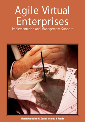 Agile Virtual Enterprises