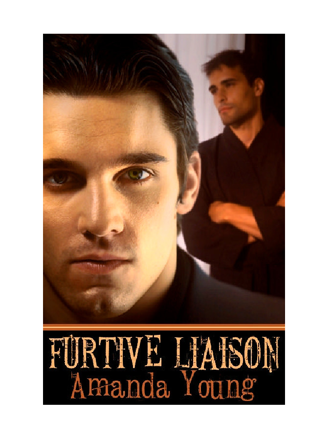 Furtive Liaison