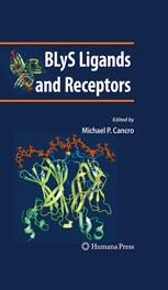 BLyS ligands and receptors