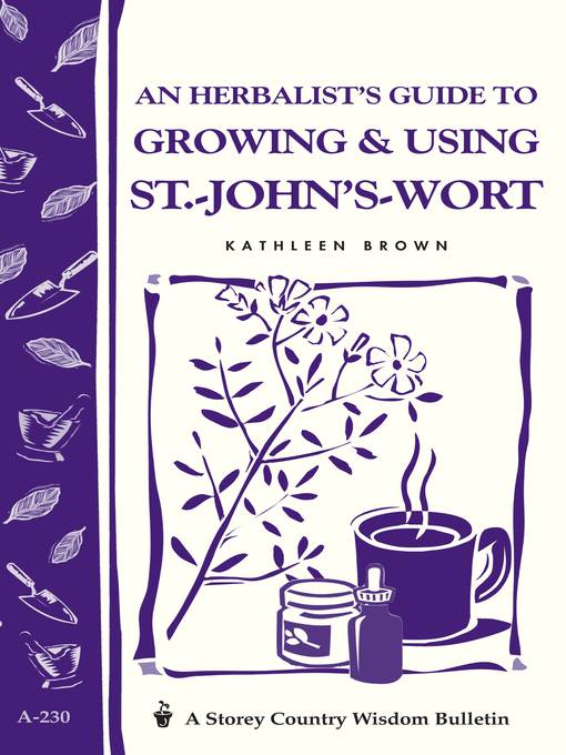 An Herbalist's Guide to Growing & Using St. John's Wort