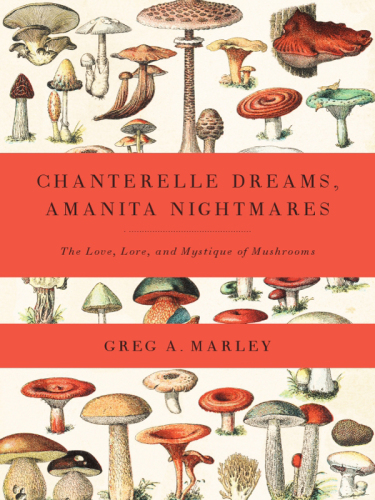 Chanterelle Dreams, Amanita Nightmares