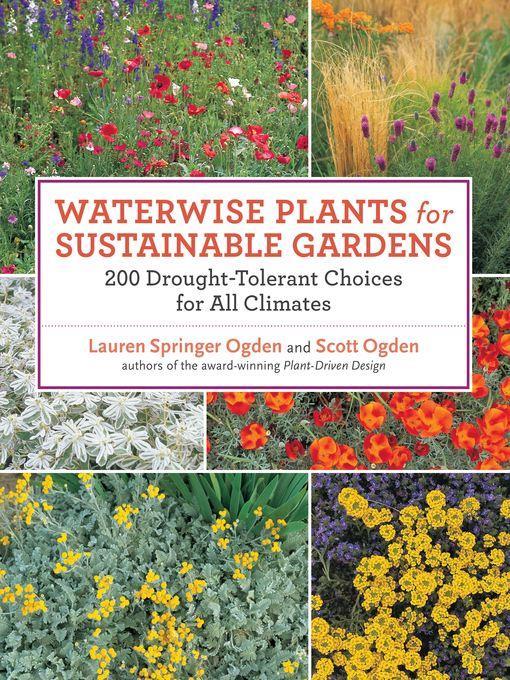 Waterwise Plants for Sustainable Gardens