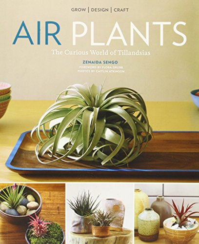 Air Plants