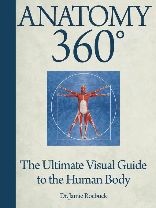 Anatomy 360