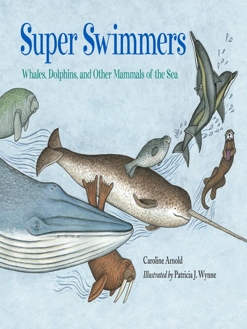 Super Swimmers