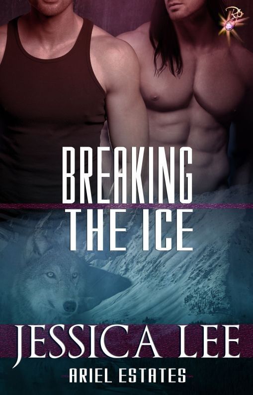 Breaking the Ice