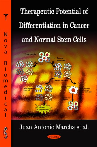 Therapeutic potential of differentiation in cancer and normal stem cells